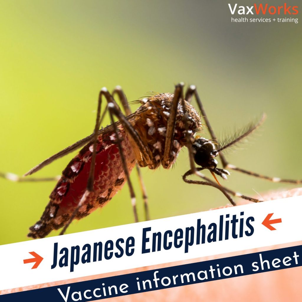 Japanese Encephalitis Vaccine Information Sheet